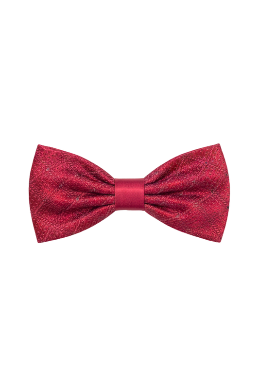 Stefano Ricci Embroidered Silk Bow Tie w/ Swarovski Crystals